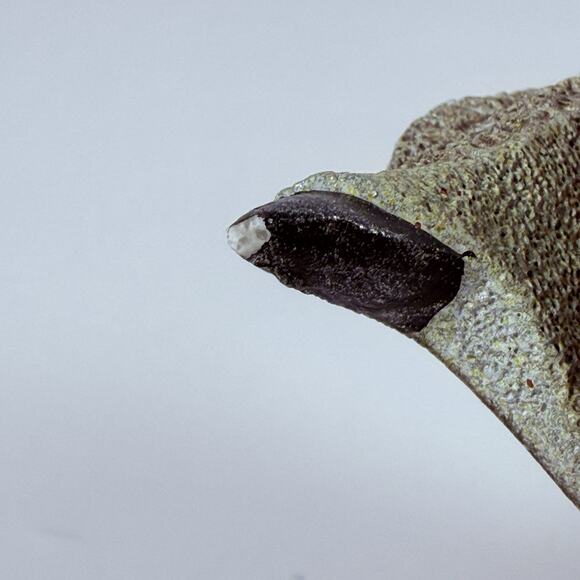 Carson ArtStone Teacher Figurine With Book And Apple Inspirational Decor - Picture 6 of 9